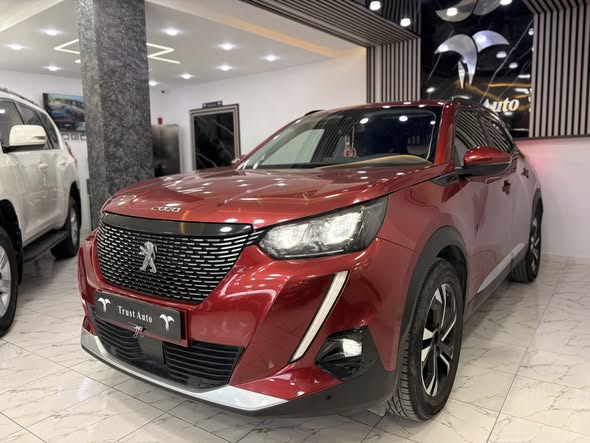 Peugeot 2008 BVM